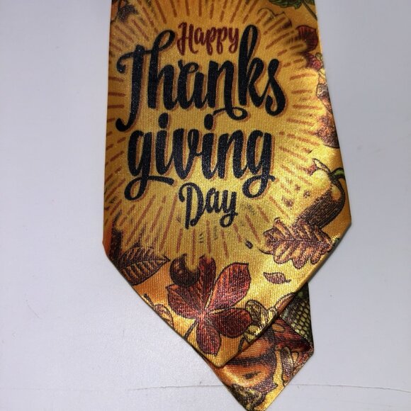 Lot of FOUR Men's Novelty Thanksgiving Neck Ties Pumpkins Turkeys No Brand 56" - Picture 6 of 15